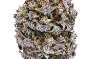 CBD Wholsale flower